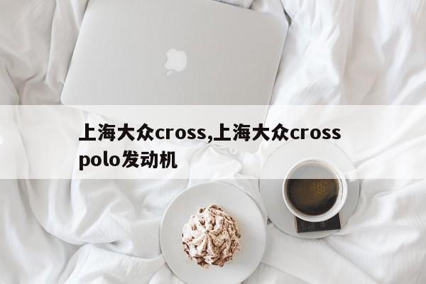 上海大众cross,上海大众cross polo发动机