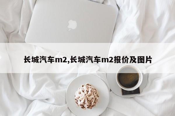 长城汽车m2,长城汽车m2报价及图片